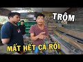 Bài Học Cảnh Giác Anh Nhí bị trộm lấy hết dàn Cá Betta cũng vì đứa Cháu Trai