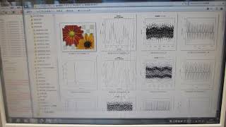 超音波伝搬実験（表面弾性波の相互作用を確認）に関する音圧データの解析