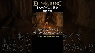 (トシゾー切り抜き)【ELDEN RING | エルデンリング実況】「共同作業」　#shorts