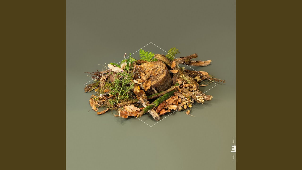 Forest Floor Youtube