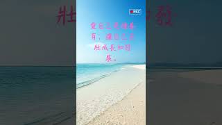 每日一句愛情語錄 浪漫愛情語錄分享 心動的愛情句子 愛的名言 EP 21 #shorts #心動 #愛情語錄 #傷感語錄 #自我治癒