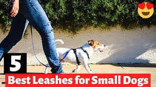 5 Best Dog Leashes for Small Dog Breeds