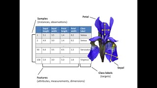 Python Lab 2 - k-Nearest Neighbors Classifier