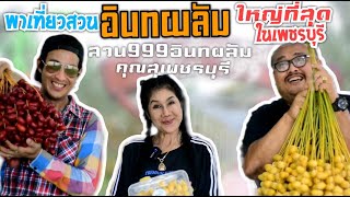 ลุยสวน999 อินทผลัมคุณสุ เพชรบุรี เข้าฟรี ชิมฟรีจากต้น..ใหญ่สุดในเพชรบุรี  | EP68 ดีเจซุปตาร์พาตะลอน