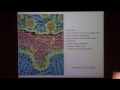 visualizing the molecular structure of cellular environments david goodsell