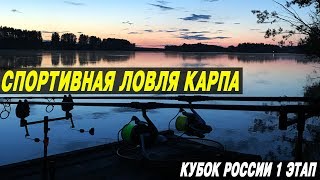 СПОРТИВНАЯ ЛОВЛЯ КАРПА. I Этап Кубка России. CarpTravel Team.