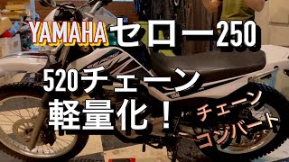 セロー250 【軽量化】520チェーンで軽量化　チェーンコンバート