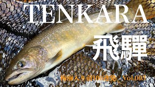 HIDA TENKARA FLY FISHING 飛騨テンカラ Vol.003 梅雨入り前100連発 毛鉤はここに投げ、あそこを流す