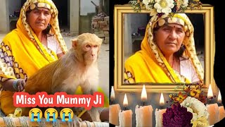 OM Shanti 😭😭 | Miss You Mummy Ji😭😭 | Monkey Rani