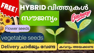 വിത്തുകൾ സൗജന്യം|Hybrid | SEEDS GIVEAWAY| FREE SEEDS|VEGETABLE SEEDS | FLOWER SEEDS#gardening#plants