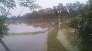 MY VILLAGE/VARASIMLA ,Kaligonj,Satkhira