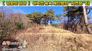 [제천임야 3,067㎡ // 3천만원]  제천IC 4km, 기초 토목을 완비한 남향의 프라이빗 자연장 터! 수목장, 잔디장...