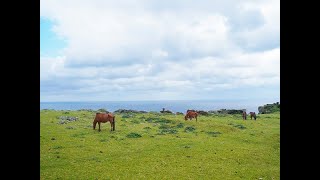 競馬通信・MAKOTAちゃんねる