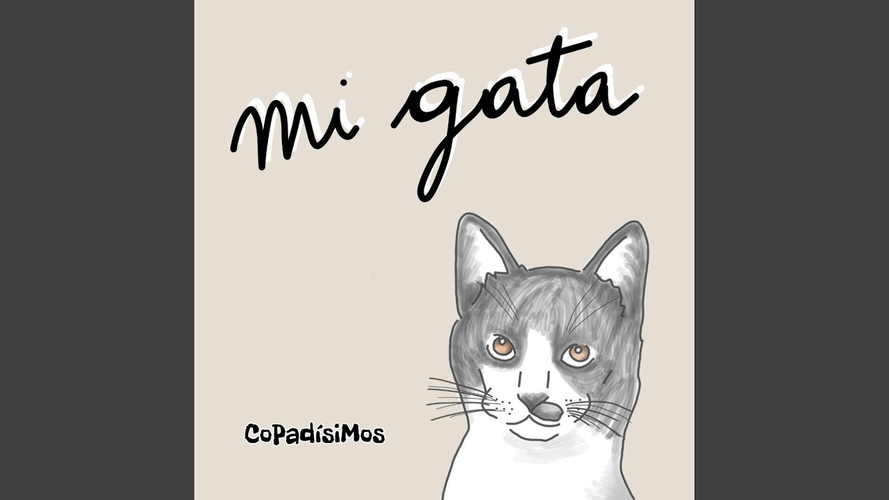 Mi Gata Youtube Music