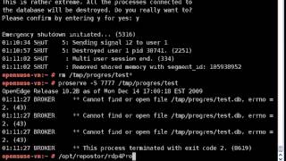 rdp4Progress-restore.avi
