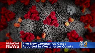 Coronavirus Update: Five New Cases Reported In Westchester County, Bringing New York State Total To