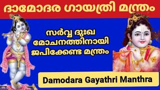 Damodara Gayathri Manthra with lyrics| ദാമോദര ഗായത്രി മന്ത്രം|സർവ്വ ദുഃഖ മോചനത്തിനായി|Shivani Padma