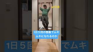 67日目#パパ #懸垂 #筋トレパパ