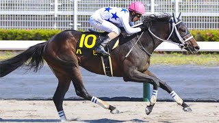 無傷の3連勝 ジャパンダートダービー有力馬 ハピ 全3走直線まとめ