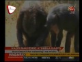 Waziri Maghembe Atumbua Majipu Sugu