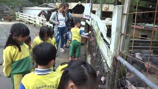 1080412貞德幼兒園富田農場校外教學 18