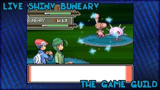 [Live] Shiny Buneary in Platinum