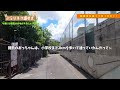 cat road walk yogi seems to have a lot of interesting cat trails 1 chome yogi naha city