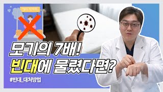 삶의 질을 떨어트리는빈대! 빈대에 물렸다면 어떻게 해야할까요?