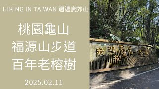 Hiking in Taiwan 台湾でのハイキング 週週爬郊山 20250211 今日路線：桃園龜山 福源山步道，單程路線約2.2公里，看鶯歌第6號百年老榕樹