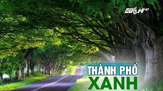 (VTC14)_Phủ xanh đô thị và tầm nhìn Lý Quang Diệu