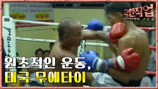 극한직업 - Extreme JOB_태국 무에타이 선수_#001