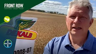 The Front Row: DEKALB® DKB0008-87 - A Soybean Variety Fit For No-Till