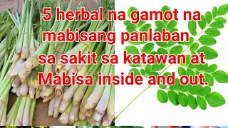 5 herbal na gamot na mabisang panlaban sa sakit sa katawan at mabisa inside and out.