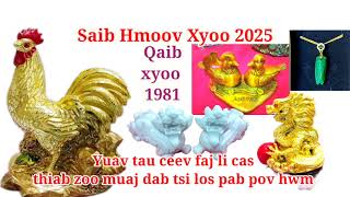 Saib hmoov Qaib xyoo 1981 yuav tau ceev faj li cas thiab zoo muaj dab tsi los pab pov hwm rau 2025