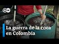 La sobreproducción impide a muchos campesinos vender la coca que cultivan