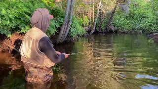 PEI Trout Fishing with guide Collin Raynor.