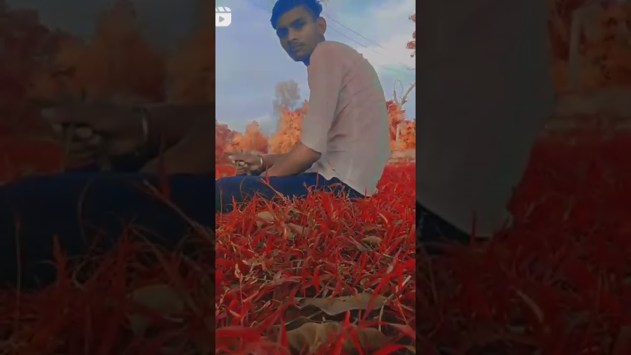 27 August 2022 Youtube