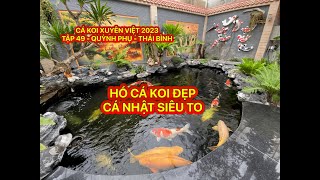 TẬP 49 - CÁ KOI XUYÊN VIỆT 2023 - HỒ CÁ KOI ĐẸP - CÁ NHẬT SIÊU TO - H.QUỲNH PHỤ - T.THÁI BÌNH