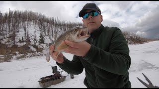 Ice fishing for LAKE TROUT in the Colorado mountains!