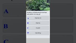070426_Quizzland_Đố_vui_Hỏi_nhanh_đáp_lẹ #365dha #trending #quizzes  #games #365dha  #quizzland