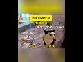 男生的源代码 猫meme日常 meme小剧场 meme演绎 meme cat 迷恋 funny 萌宠 貓 萌寵 pets 治癒小貓 cute 搞笑