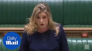 Penny Mordaunt brutally responds to Angela Rayner in Commons over donations claims