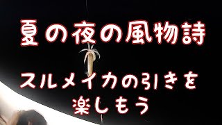 夏の夜の風物詩スルメイカの引きを楽しもう