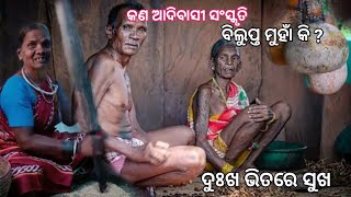 କଣ ଆଦିବାସୀ ସଂସ୍କୃତି ବିଲୁପ୍ତ ମୁହାଁ କି ? Tribelife । tribeculture । Kandha Tribe