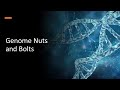 Genome Nuts and Bolts