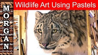 Realistic Wildlife Art using Pastel Pencils and PanPastels