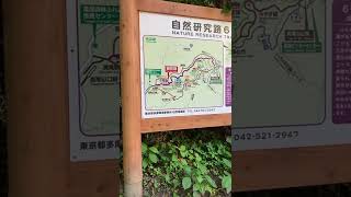 高尾山の旅♯3  今回は6号で行きます。