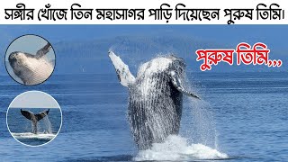 সঙ্গীর খোঁজে তিনটি মহাসাগর পারি দিয়েছেন পুরুষ তিমি। অজানা তথ্যের রহস্য। #তিমির_যাত্রা #তিমি_প্রেম