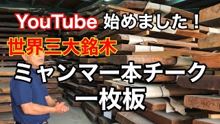 【第１回】木材の王様と呼ばれるチーク材！世界三大銘木の一つ希少な高級木材チークの一枚板が積み上げられた光景は圧巻です！