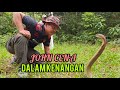 SELAMAT TINGGAL JOHN CENA | LEPASKAN KE HABITAT ASAL